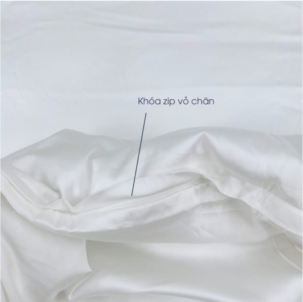 Vỏ Chăn Cotton Sateen 700 Sợi - Trắng Trơn 5 CM3005 07