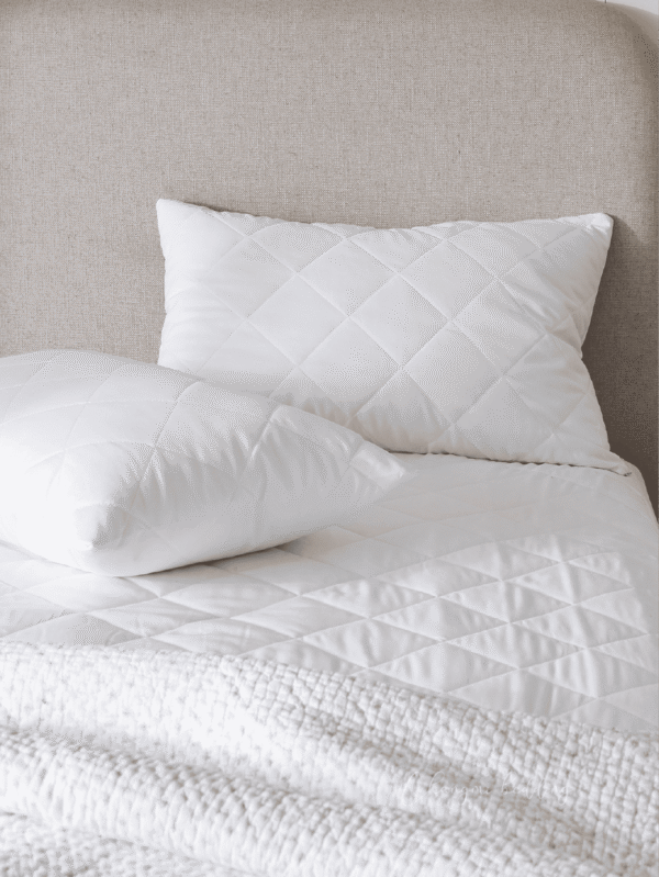Pillow Protector 100% Cotton