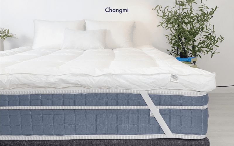 Topper là gì? Cách chọn Topper nệm êm ái dễ vệ sinh khi sử dụng 6 Topper lông vũ tạo cảm giác thư giãn và dễ chịu khi nghỉ ngơi